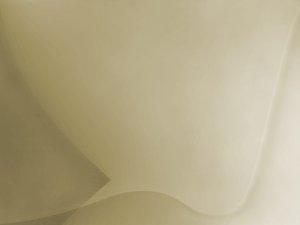 撫松縣化妝品有限責任公司